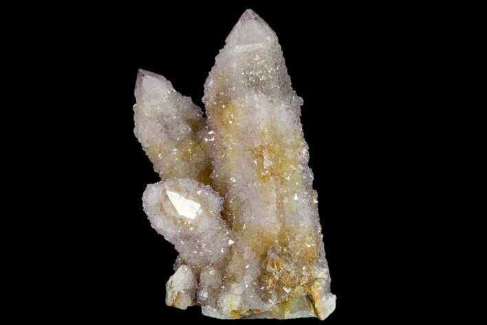 Cactus Quartz (Amethyst) Cluster - South Africa #115119